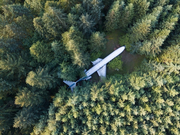 Sustainable Aviation Fuel (SAF): US Airlines’ Path to 28% Carbon Reduction
