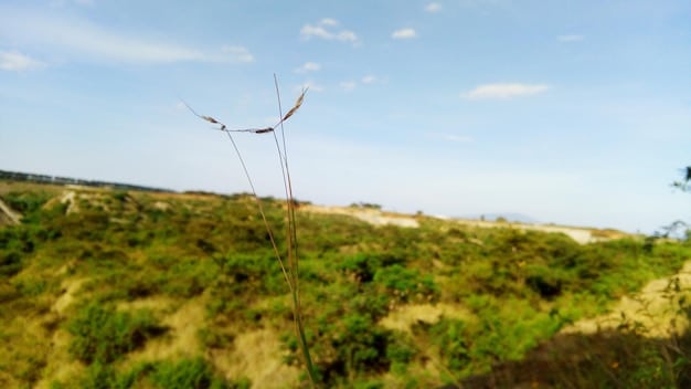 Close-up of a wind turbine generating electricity in a rural area, with rolling green hills and a clear blue sky in the background. The focus is on renewable energy and sustainable power generation.
