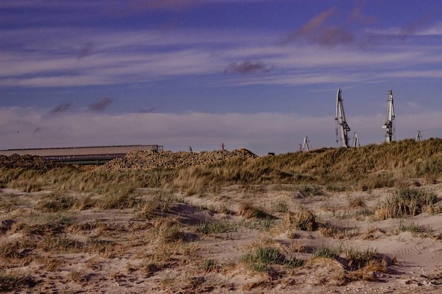 A barren landscape surrounding a wind farm, showing the extensive clearing of vegetation and soil disturbance due to construction activities, highlighting the impact on habitat.