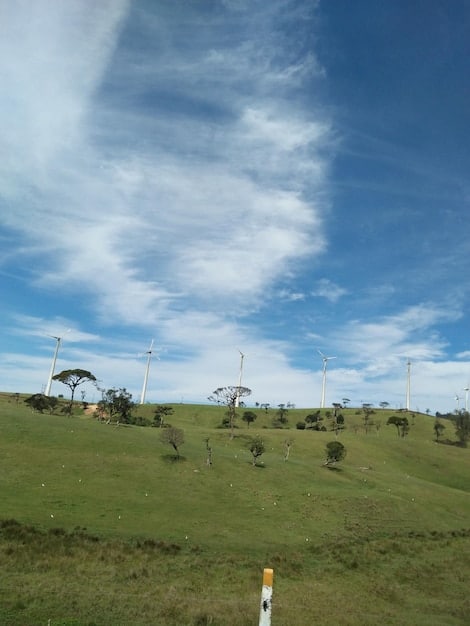 Wind turbines in a wind farm stretching across a vast open field, with a cloudy sky in the background, symbolizing the growth of wind energy as a sustainable power source.