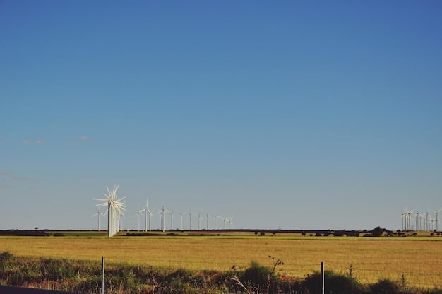 Long-Term Economic Benefits of Renewable Energy in the US