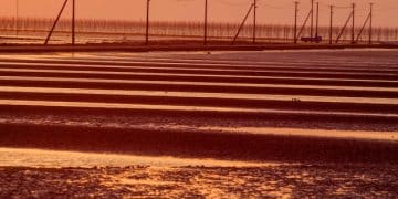 Renewable Energy Surge: Impact on US Grid Stability by 2025 - Cover Image