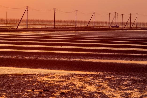 Renewable Energy Surge: Impact on US Grid Stability by 2025