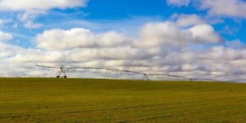 Wind Energy Impacts: Understanding Environmental Effects in the US - Cover Image