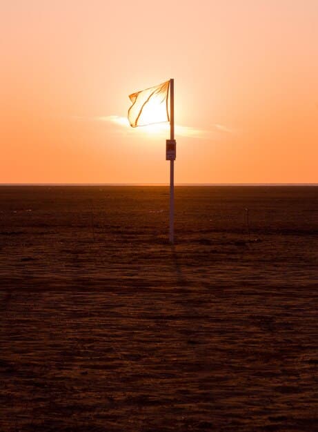 Offshore Wind Farms: Reshaping the US Energy Landscape by 2035