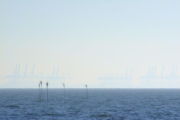 Wave Energy Conversion: Latest Tech for US Coasts